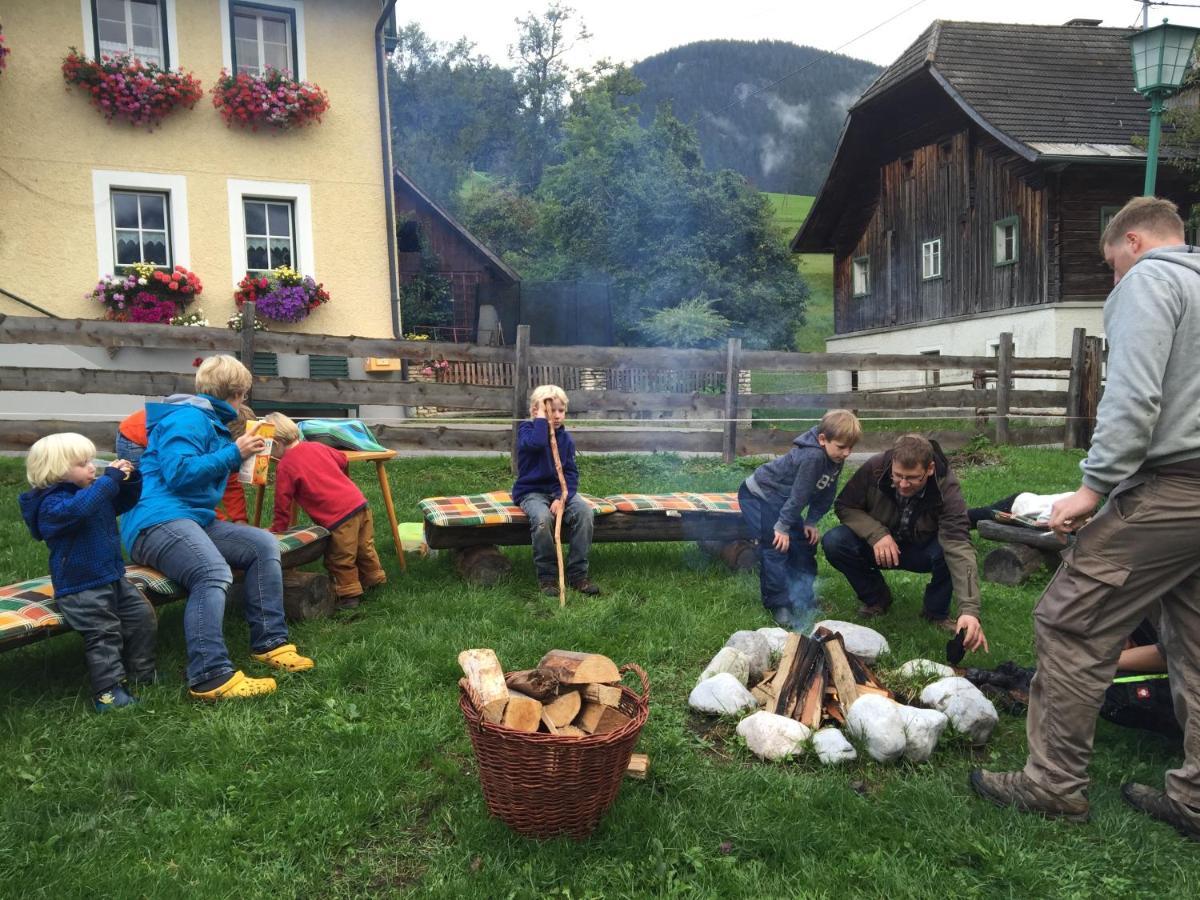 Pichlerhof Sommmercard - Urlaub Am Bauernhof Birnberg Dış mekan fotoğraf